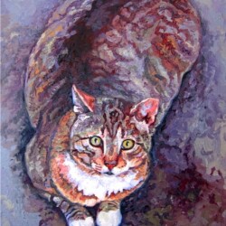 Feral
