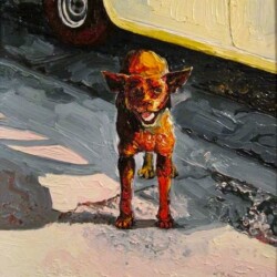 Street Dog