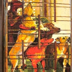 Dogs at the Gate
