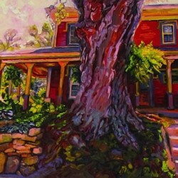The Tree on Laurel Street