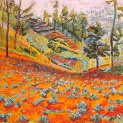 Cabbage Fields