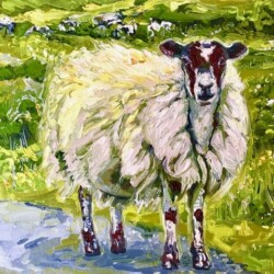 I Am Sheep